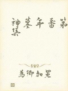 神墓年番第11集