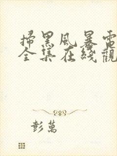 扫黑风暴电视剧全集在线观看