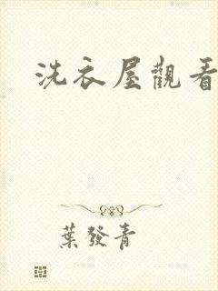 洗衣屋观看