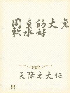 同桌的大兔子好软水好