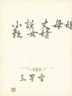 小说 丈母娘 教 女婿封面