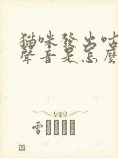 猫咪发出咕咕的声音是怎么回事