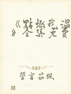 《点燃我温暖你》全集免费观看