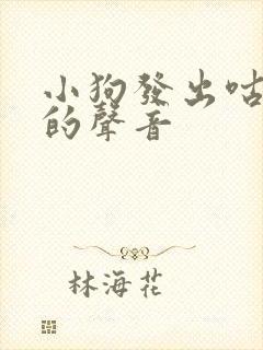 小狗发出咕咕咕的声音封面