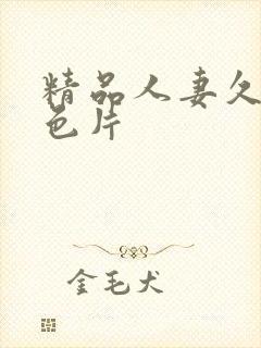 精品人妻久久久色片