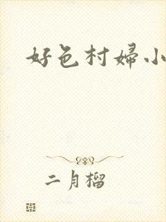 好色村妇小银贼封面