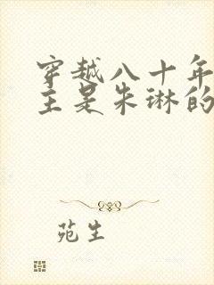 穿越八十年代女主是朱琳的小说封面