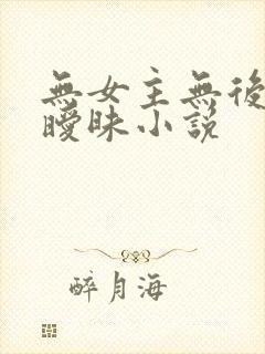 无女主无后宫无暧昧小说