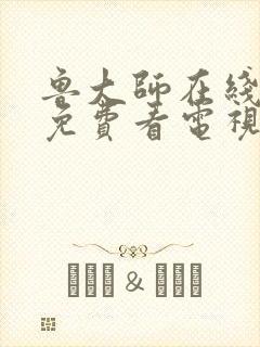 鲁大师在线影视免费看电视剧