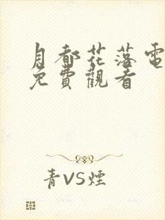 月都花落电视剧免费观看