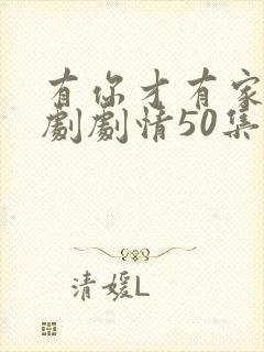 有你才有家电视剧剧情50集免费观看封面