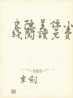 良陈美锦小说在线阅读免费