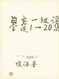 日本一级淫片潘金莲1→20集封面