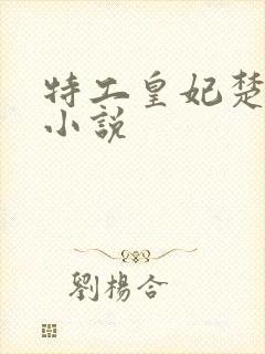 特工皇妃楚乔传小说