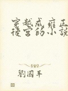 穿越成雍正极品后宫的小说
