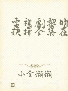 电视剧黎明前的抉择全集在线观看免费