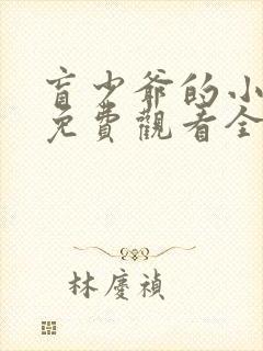 盲少爷的小女仆免费观看全集