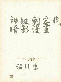 神级刺客我即是暗影漫画封面