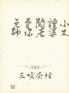 免费阅读小说少帅你老婆又跑了全文