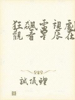 狂飙电视剧免费观看星辰在线播放