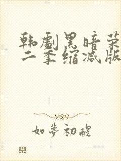 韩剧黑暗荣耀第二季缩减版封面