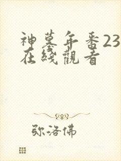 神墓年番23集在线观看