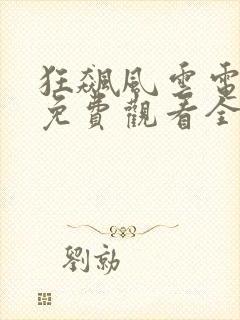 狂飙风云电视剧免费观看全集