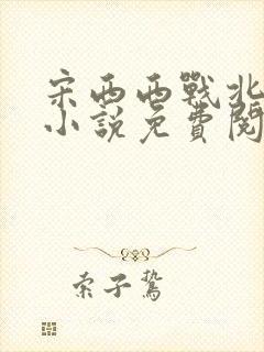 宋西西战北望的小说免费阅读