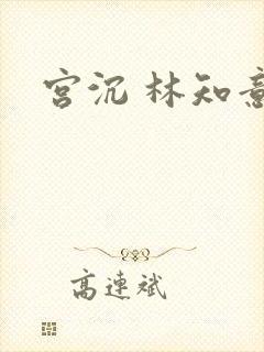 宫沉 林知意