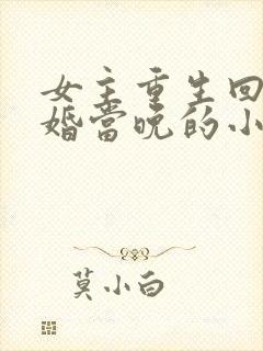 女主重生回到结婚当晚的小说