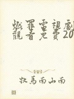 燃罪电视剧在线观看免费2025
