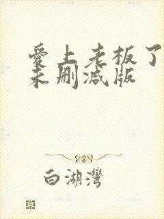 爱上老板了韩剧未删减版