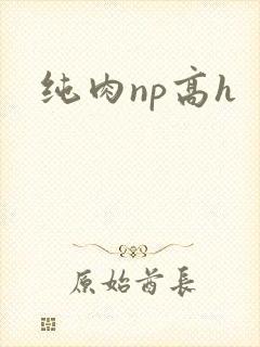 纯肉np高h