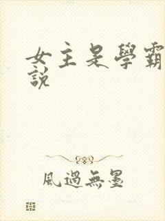 女主是学霸的小说封面