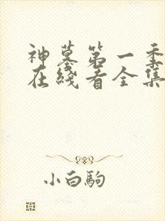 神墓第一季高清在线看全集