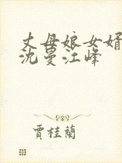 丈母娘女婿小说沈曼江峰