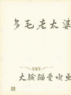 多毛老太婆封面