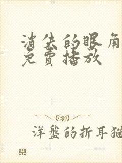 消失的眼角膜3免费播放