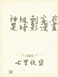 神级刺客,我即是暗影漫画
