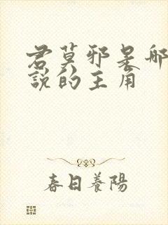 君莫邪是哪部小说的主角