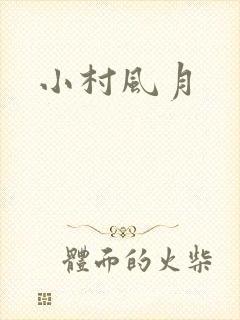小村风月封面