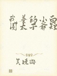 我养的小白脸京圈太子爷短剧封面