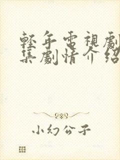轻年电视剧40集剧情介绍