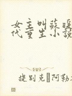 女主叫苏暖的古代重生小说