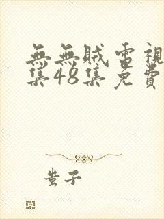 无无贼电视剧全集48集免费播放