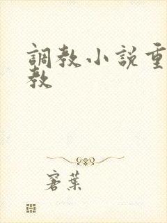 调教小说重口调教封面