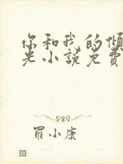你和我的倾城时光小说免费封面