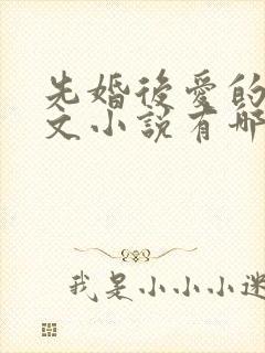 先婚后爱的高干文小说有哪些