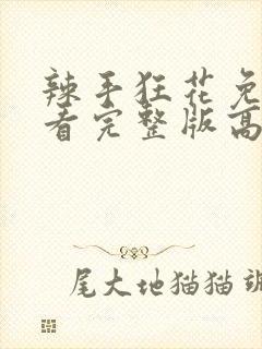 辣手狂花免费观看完整版高清电视剧