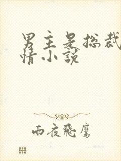 男主是总裁的言情小说